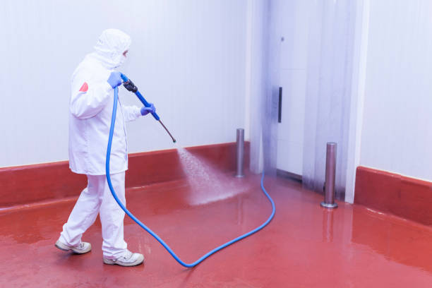 Best Concrete Sealing  in Grasonville, MD
