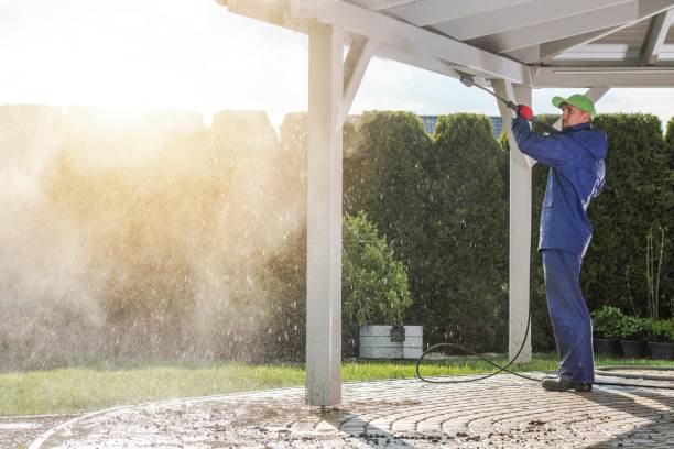 Pre-Holiday Cleaning in Grasonville, MD